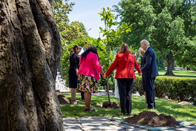 The President Joe Biden and First Lady Jill Biden with Gold Star family members holding hands in a circle around a freshly-planted tree.