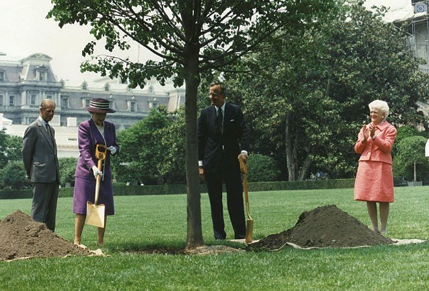 Queen Elizabeth II and President George HW Bush hold shovels preparing to plant a tree as Prince Philip and Barbara Bush look on.