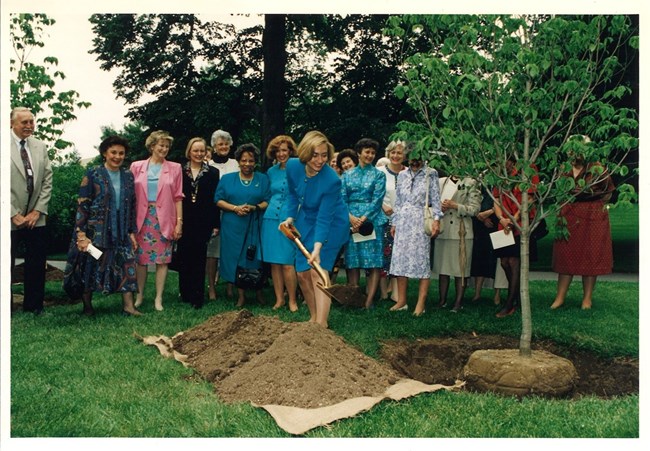 An array of women stand behind Hillary Clinton as she shovels dirt onto a tree.
