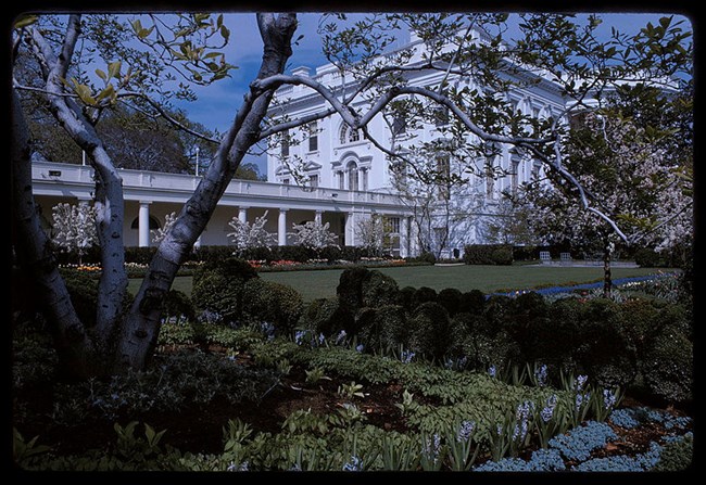 Photograph showing view of the Kennedy-era Rose Garden at the White House.
