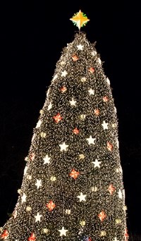 Christmas Tree decorated in white or yellow lights with golden and red stars throughout