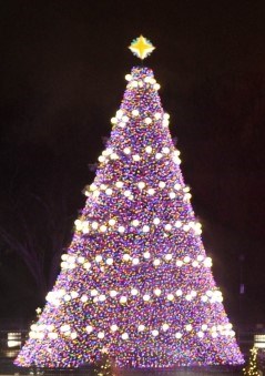 Christmas Tree decorated in red and blue light with larger white lights througout
