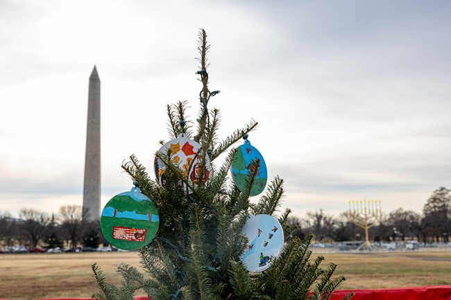 Close-up view of top of a Christmas Tree adorned with student-created ornaments. The Washington Monument is visible in the background.
