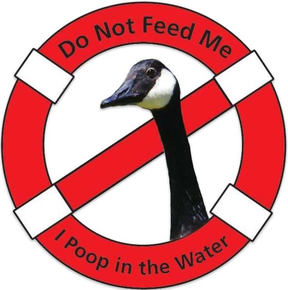 Don't Feed Me Goose