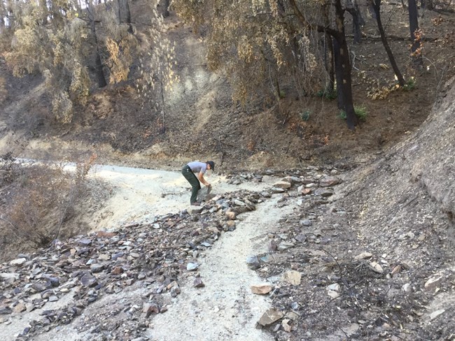 Erosion debris on Mill Creek Road during the winter after the Carr Fire. Soil has been washing down Shasta Bally in abundance since the fire, and this poses serious problems for park infrastructure and visitor safety. NPS Photo.