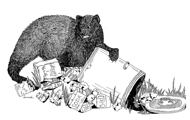 Illustration of a bear digging through trash.