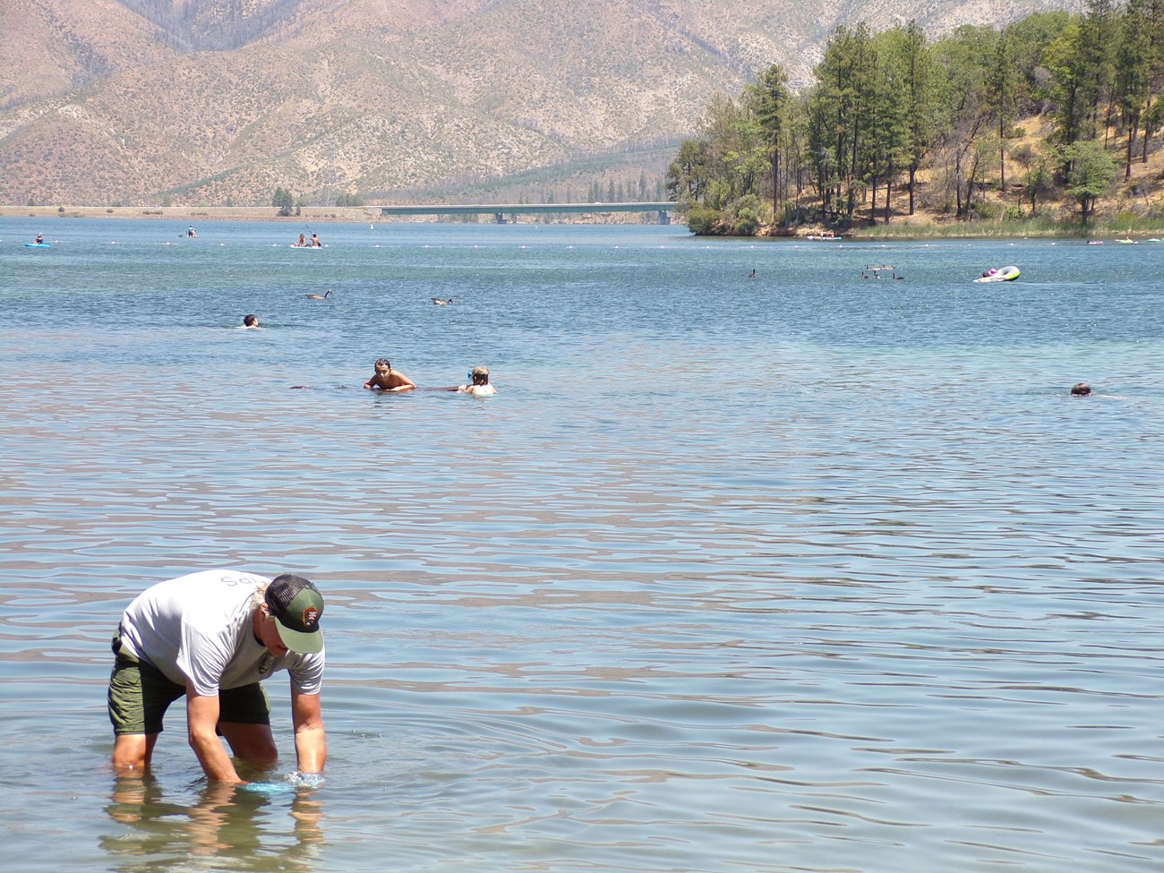 Whiskeytown Hydrologist taking water samples.