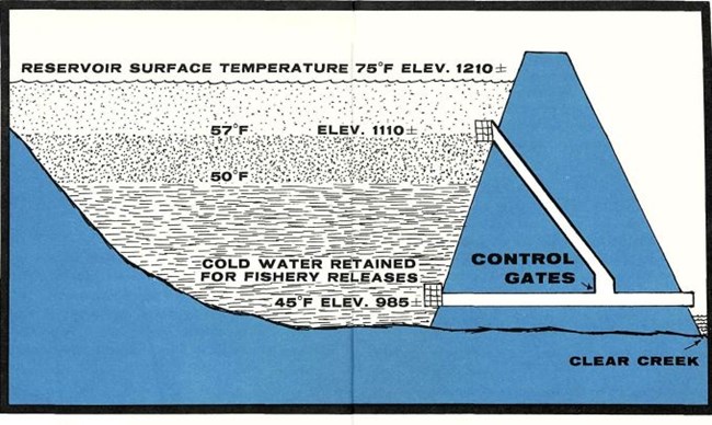 Black and white graphic of Whiskeytown Dam portraying the fact that cold water from the bottom of lake goes through the bottom of the dam and into lower Clear Creek.