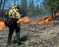 Fire effects monitor collecting fire behavior data.