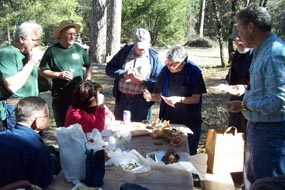Mushroom field trip participants identifying specimens