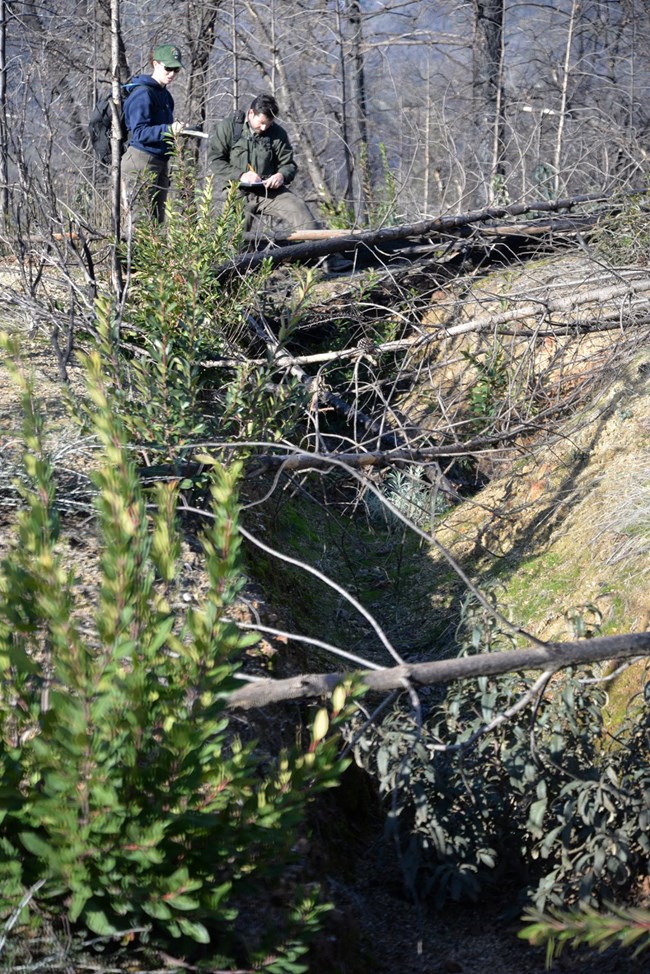 Fable documenting a water ditch within the park. The ditch has some vegetation within it.