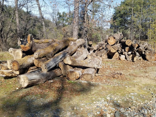 Whiskeytown log deck.