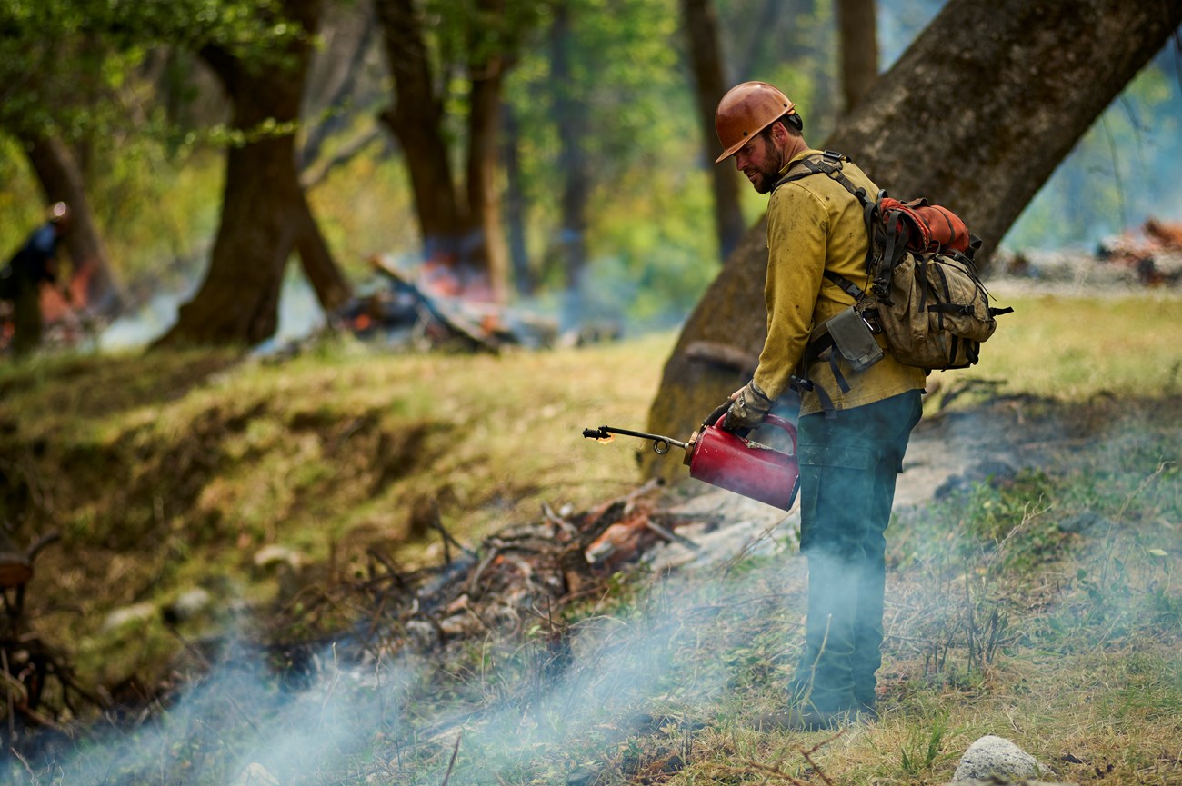 Whiskeytown firefighter conducting a prescribed burn.