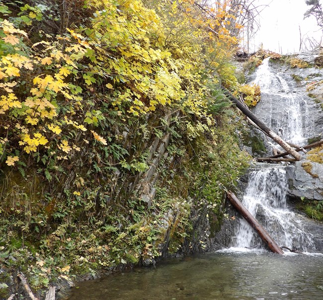 Boulder Creek Falls in autumn