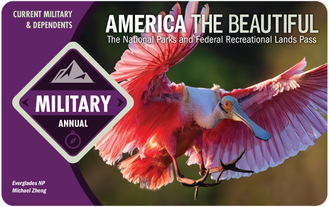 2025 America the Beautiful Military Annual Pass card. Photo on card shows a large pink bird with outstretched wings and long beak.