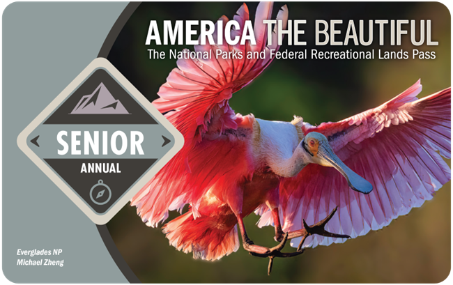 thumbnail_2025 Senior Annual front