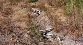 Ditch with two small piles of wood in it.