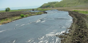 Shiny black cloth dominates the photo, beyond the cloth the ground is bare of vegetation.