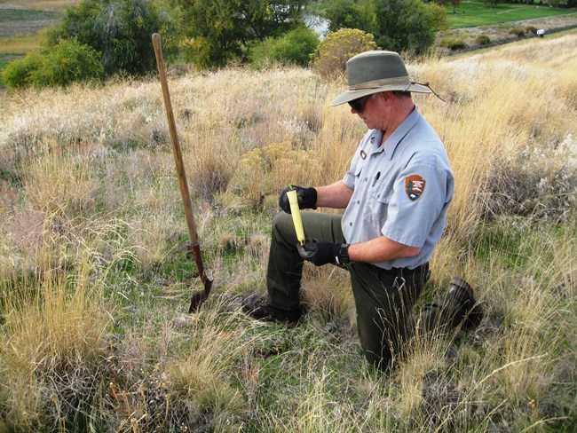 In the center of the image a man wearing sunglasses and a wide brimmed hat kneels in tall grasses holding a small plant in a tube