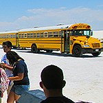 Yellow school bused lined up in front of a dune