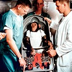Space chimp Ham in biopack