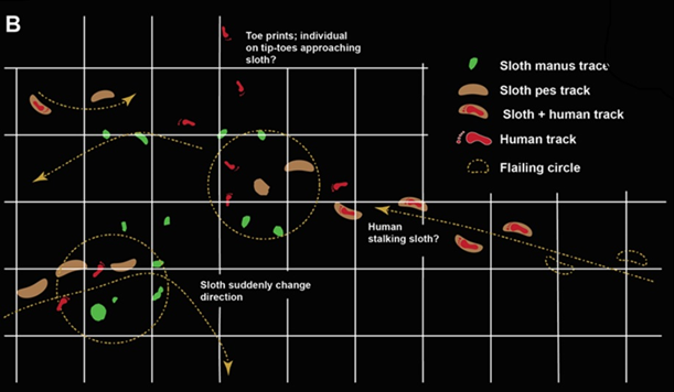 Diagram of footprints showing humans stalking giant ground sloth.