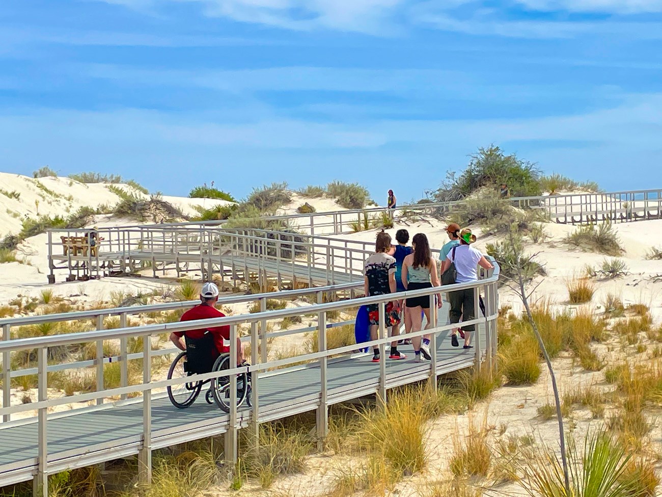 a man in a wheelchair follows a group of people along a raised boardwalk through a dune area covered in plants.