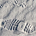 Animal footprints next to human footprint in sand