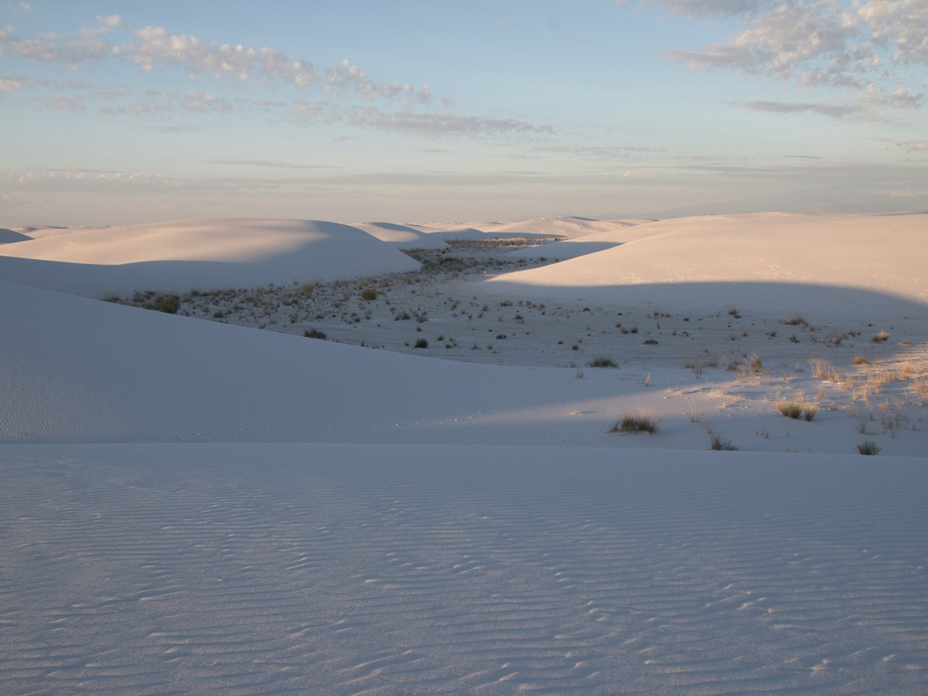 Rolling white sand dunes, with long shadows and wind-rippled sand in the foreground.