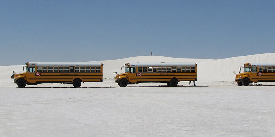 Three yellow school buses in parking area near a sand dune