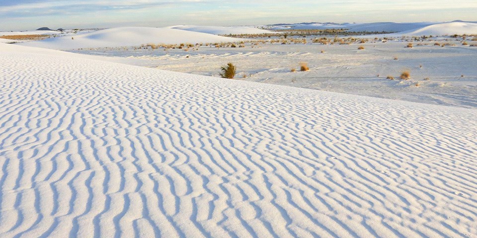 White sand dune with ripples in the foreground and grasses in the background.