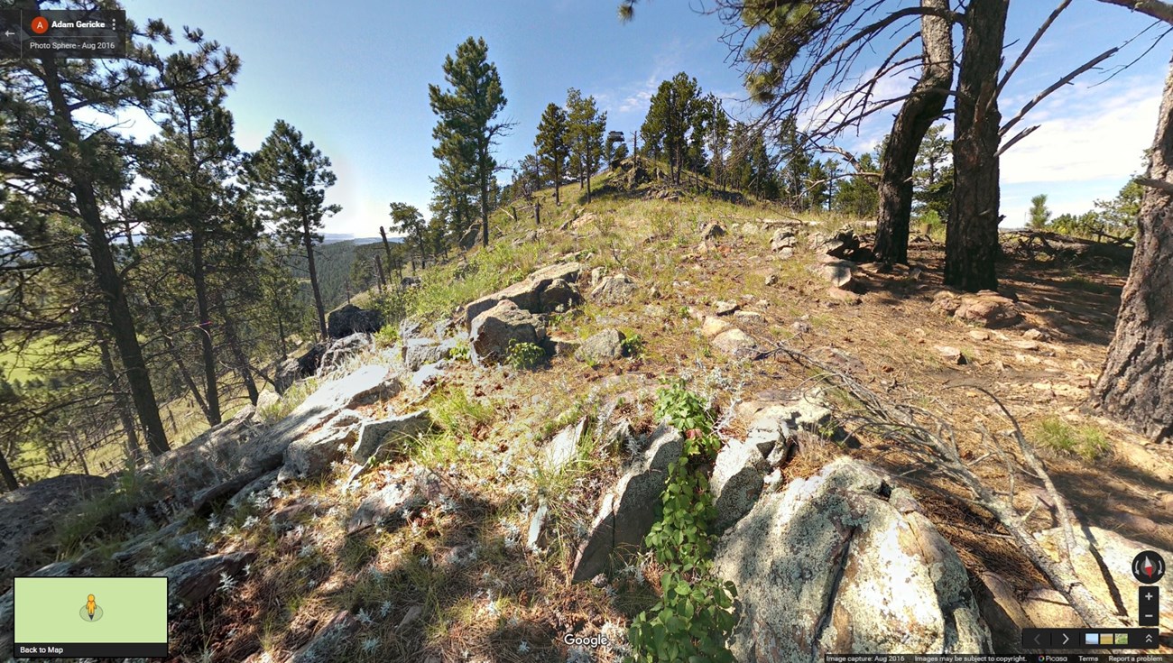 Ponderosa pine forest mixed with prairie
