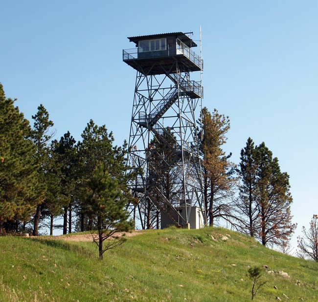 a tall metal fire tower rises above the trees on a gravel path against a blue sky