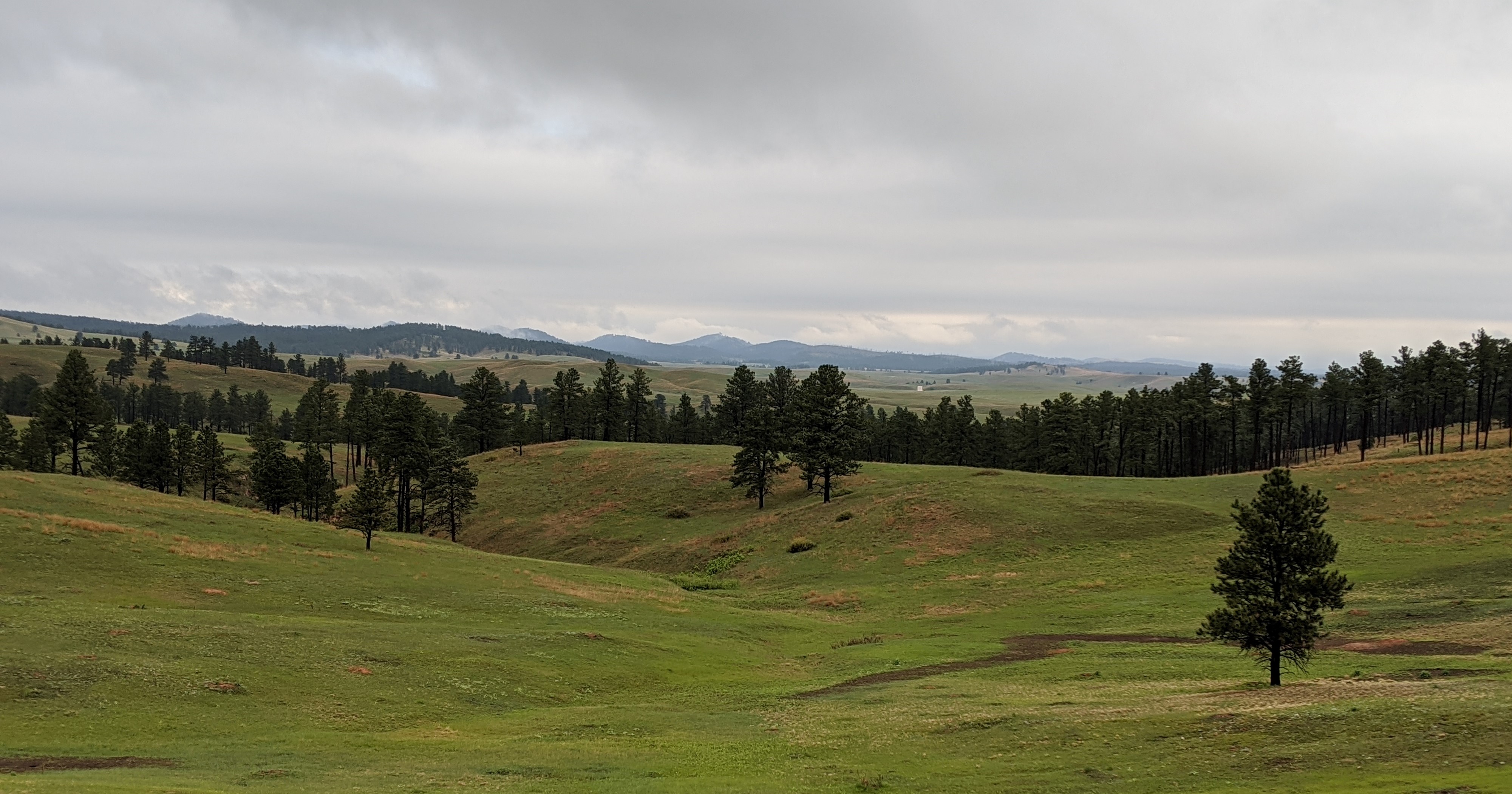 Prairie in the springtime with green grasses and rolling hills.