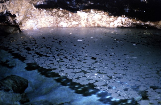 Calcite rafts floating on an underground lake.