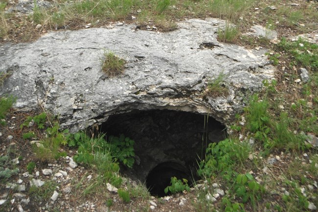 Color photograph of a small cave entrance in an outcrop of gray limestone.