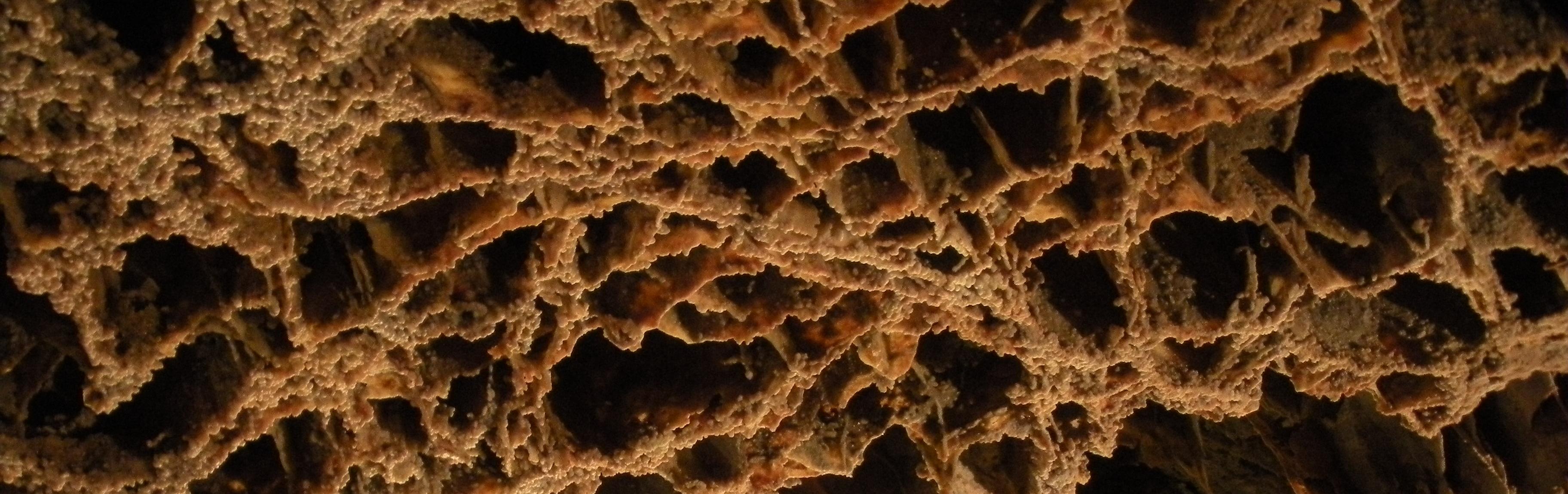 Boxwork from ceiling