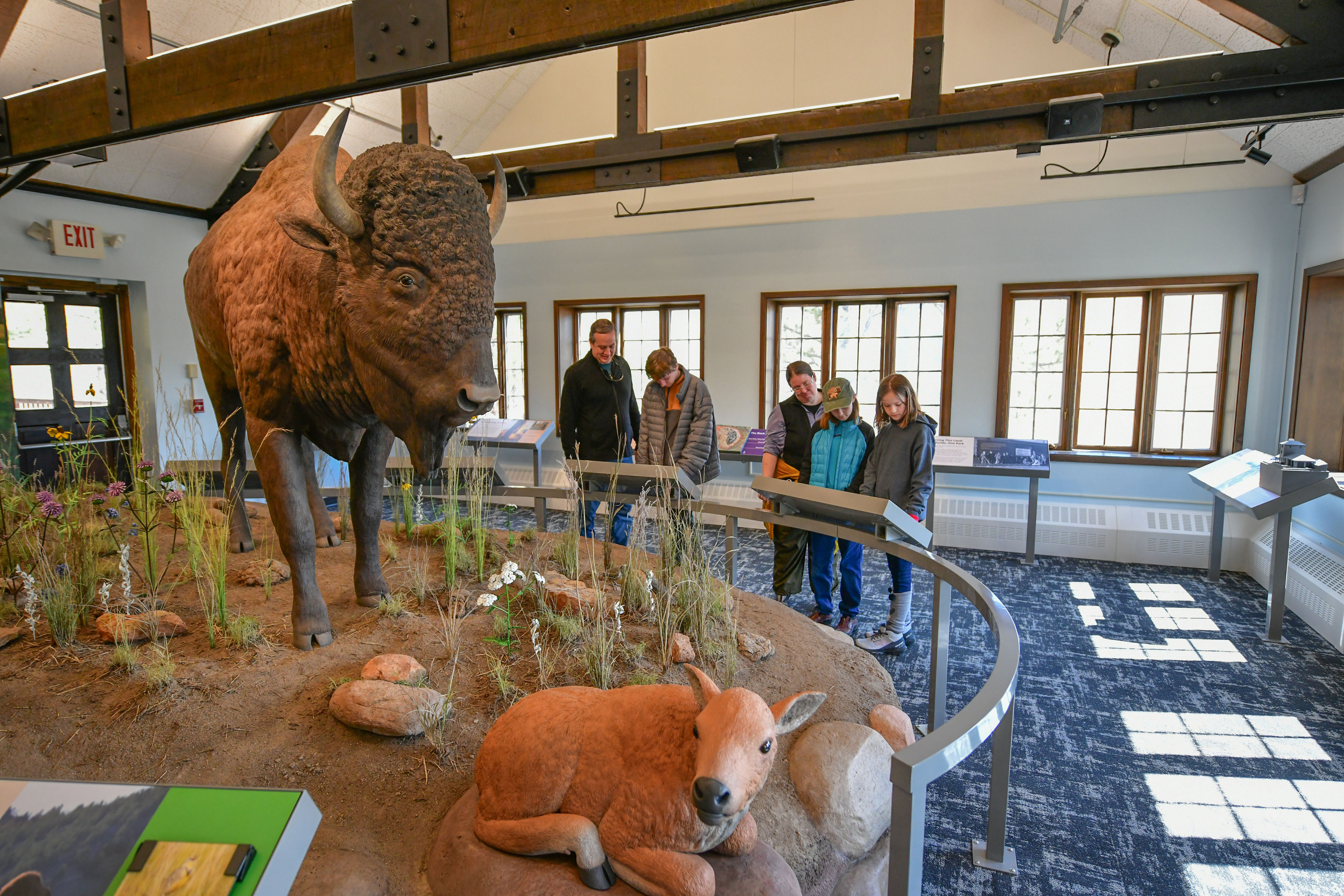 A large bison in a prairie diorama is in the center of the photo with a family of five near it reading some exhibit reading rails. Bright sunlight is streaming through the windows on the right side of the photo.