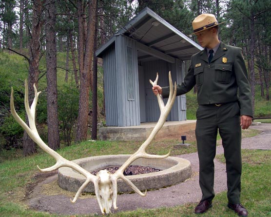 Ranger Tom Jarvela examining antler used during elk bugling program.