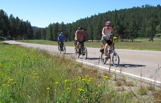 three people on bikes riding on a paved road through an open forest
