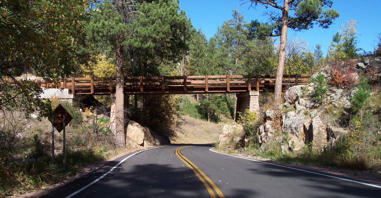 A wooden bridge with an asphalt road beneath it.  The bridge has 2 large ponderosa pine trees on either side and numerous trees and shrubs on the slopes nearby.