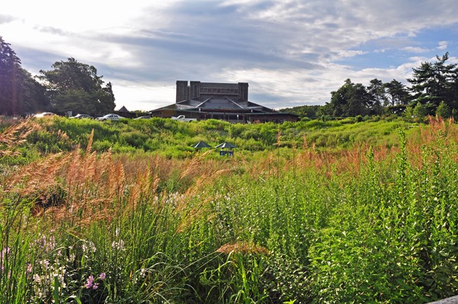 Native plant garden seen in front of the Filene Center entrance.