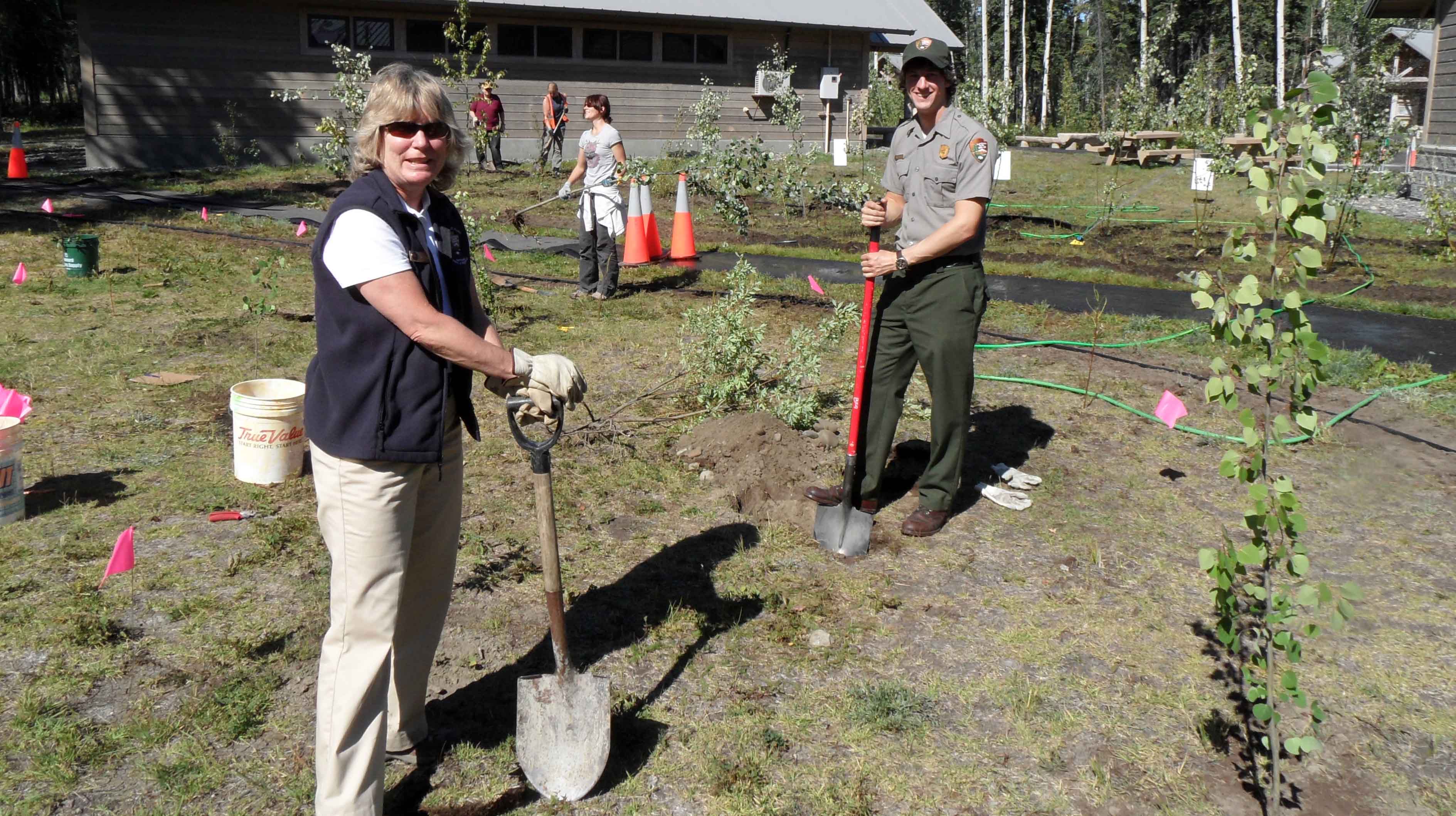 Volunteers & Employees working together