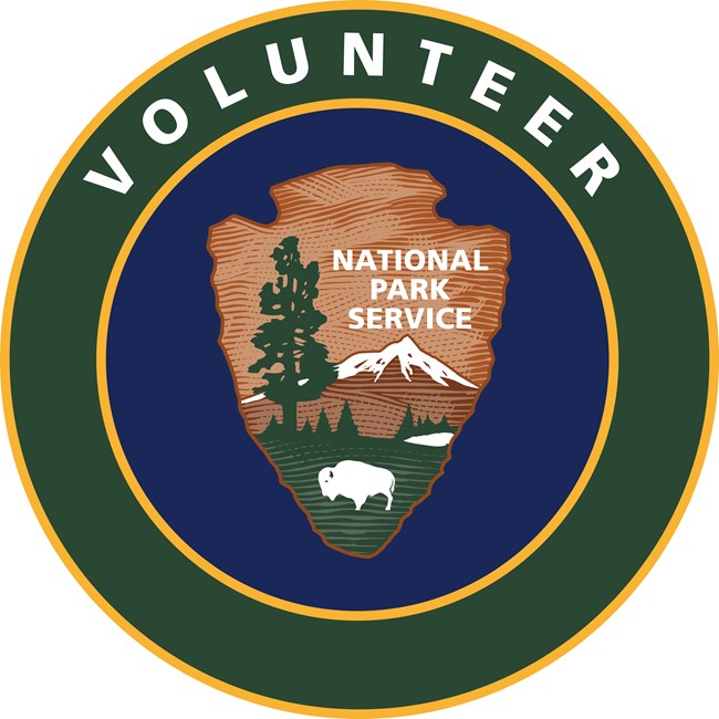 Volunteer in Park logo