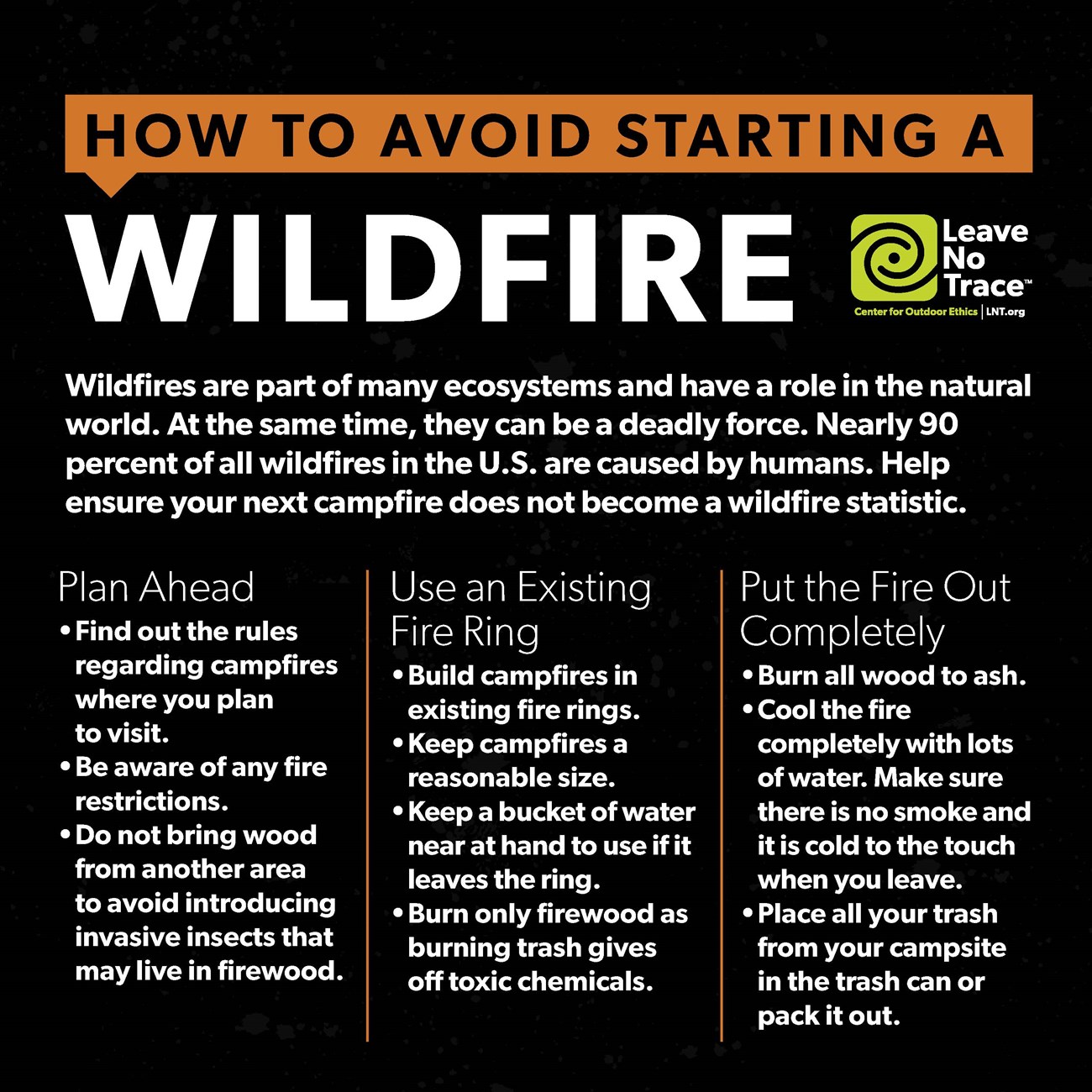 Wildfire Alert flyer