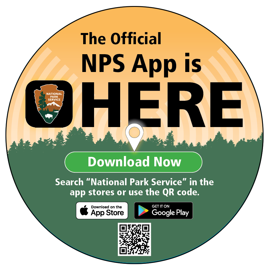 NPS App