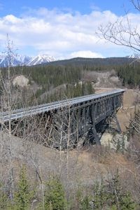 Former railroad bridge, the Kuskulana Bridge, in forest with mountains in background.