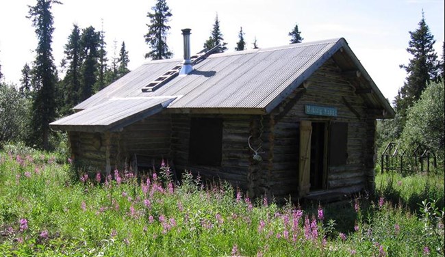 Viking Lodge Cabin