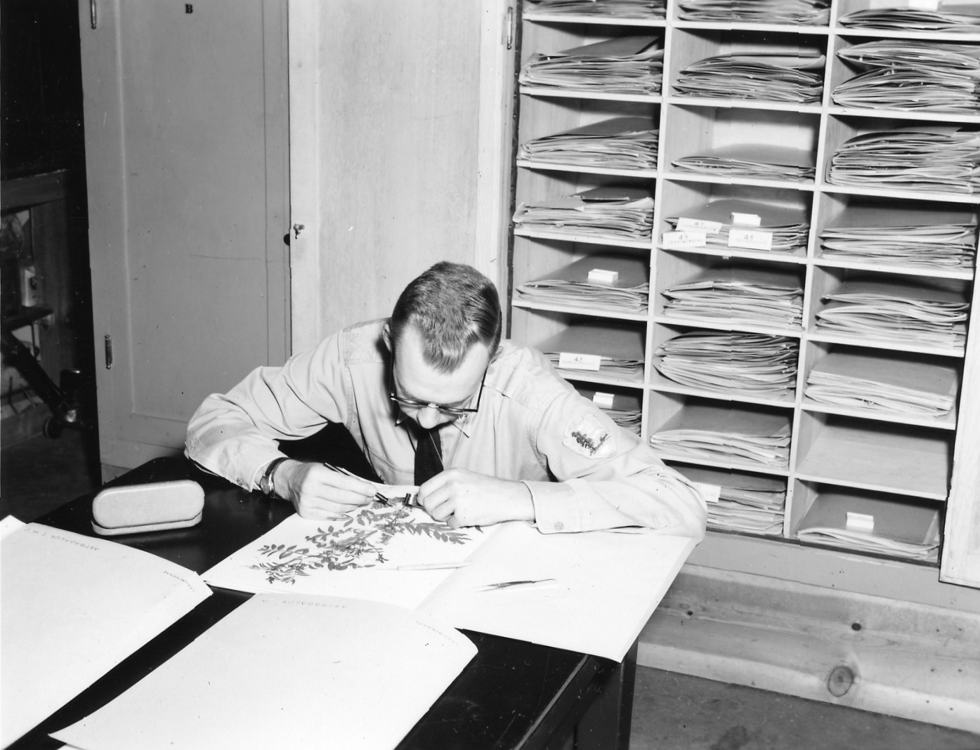 A black-and-white photo of a man looking at flower specimens. 
