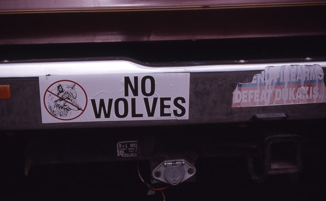 "No Wolves" bumper sticker